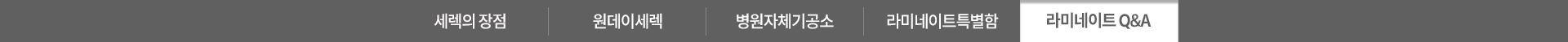 정밀보철세렉-메뉴