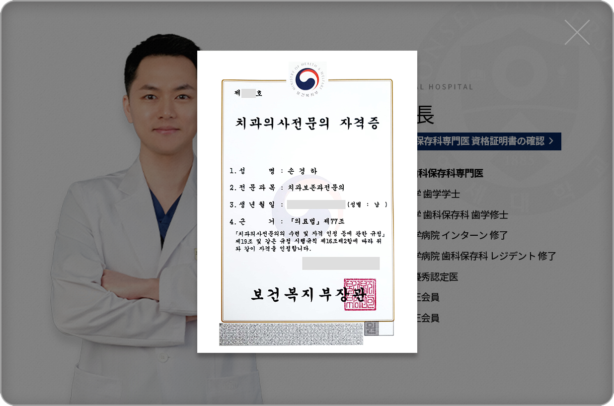 손경하-치과보존과전문의-약력